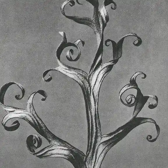 Imagen para el servicio